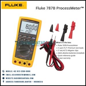 Fluke B Processmeter Radio Nusantara